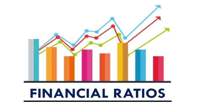 This image shows understanding of financial ratios
