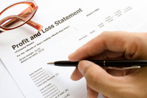 Read more about the article Profit and Loss Budget Statement in Small Business: Complete Guide