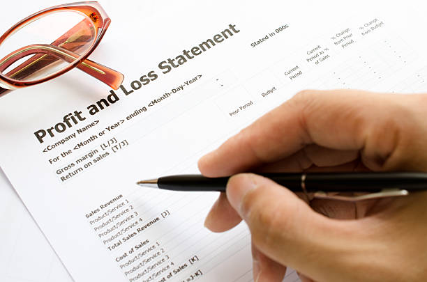 Read more about the article Profit and Loss Budget Statement in Small Business: Complete Guide