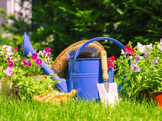Blue watering can, garden trowel, gloves, and straw hat among flowers on a lawn, representing seasonal lawn care growth