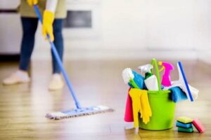 Read more about the article How to Start a Cleaning Business From Home With Under $500